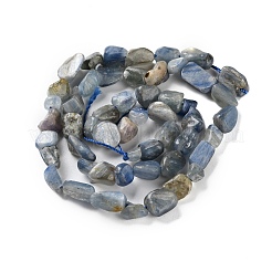 Natural Kyanite Beads Strands&nbsp;G-P497-01C-60