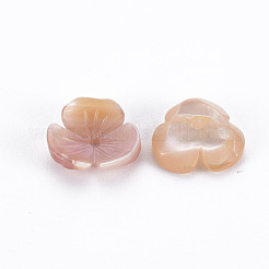 Natural Pink Shell Beads&nbsp;SSHEL-N034-119A-01