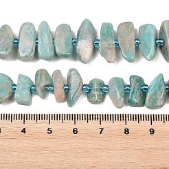 Natural Amazonite Beads Strands&nbsp;X-G-P619-A04-01