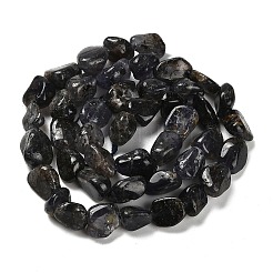 Natural Iolite Beads Strands&nbsp;G-P497-01E-35