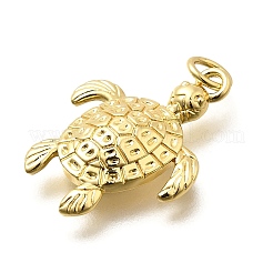 Brass Pendants&nbsp;KK-S508-10B-G