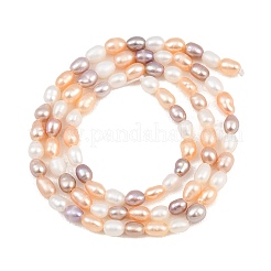 Three Color Natural Cultured Freshwater Pearl Beads Strands&nbsp;PA-CBAFEE8-11