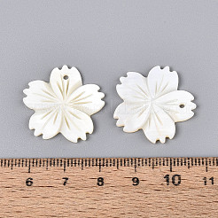 Natural Freshwater Shell Carved Pendants&nbsp;SHEL-N038-35