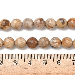 Natural Petrified Wood Beads Strands&nbsp;G-L642-F09-8mm
