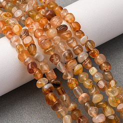 Dyed Natural Carnelian Beads Strands&nbsp;G-F465-22