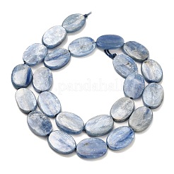 Natural Kyanite Beads Strands&nbsp;G-H335-D01-13x18mm