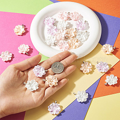 24Pcs 4 Colors Resin Pendants&nbsp;PALLOY-TAC0303