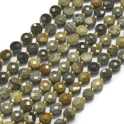 Natural Silver Leaf Jasper Beads Strands&nbsp;G-K389-B83-01
