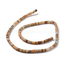 Natural Crazy Lace Agate Beads Strands&nbsp;G-P468-09