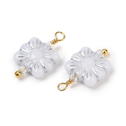 Opaque Acrylic Pendants&nbsp;KK-K296-04B-G