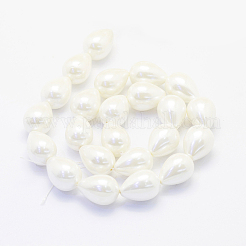 Shell Pearl Beads Strands&nbsp;BSHE-P024-10