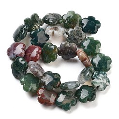 Natural Indian Agate Beads Strands&nbsp;G-F769-K01-01
