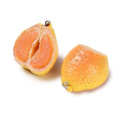 Opaque Resin Imitation Fruit Pendants&nbsp;RESI-H045-01B-01