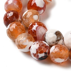 Dyed & Heated Natural Fire Crackle Agate Beads Strands&nbsp;G-P539-B01-12
