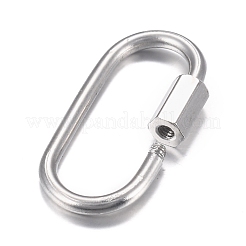 Tarnish Resistant 304 Stainless Steel Screw Carabiner Lock Charms&nbsp;STAS-H107-04A-P