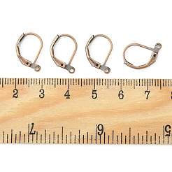 Brass Leverback Earring Findings&nbsp;EC223-R