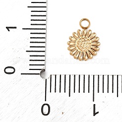 304 Stainless Steel Charms&nbsp;STAS-A125-13A-G