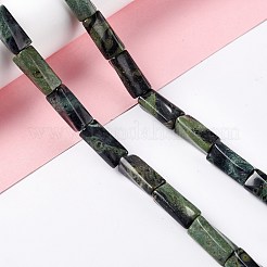 Natural Kambaba Jasper Beads Strands&nbsp;G-L240-12