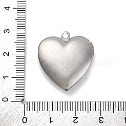 304 Stainless Steel Pendants&nbsp;STAS-S171-13P-08