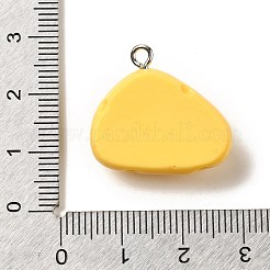 Resin Pendants&nbsp;LS-RESI-A038-02E
