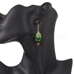 Stainless Steel Glass Dangle Earrings&nbsp;EJEW-MZ00607