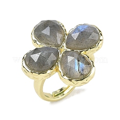 Natural Labradorite Faceted Adjustable Finger Rings for Women&nbsp;RJEW-A092-01G-12