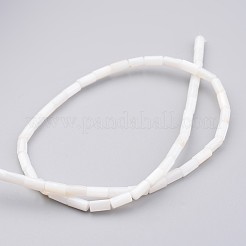 Natural Shell Bead Strands&nbsp;X-BSHE-P016-05