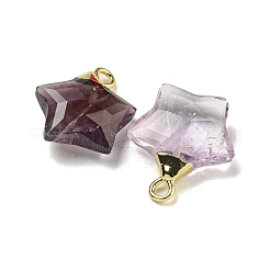 Natural Amethyst Pendants&nbsp;G-P540-01G-10