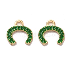 Alloy Enamel Charms&nbsp;FIND-G055-07G