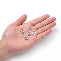 Non-Tarnish 304 Stainless Steel Charms&nbsp;STAS-Q201-T445-5S