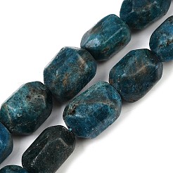 Natural Apatite Beads Strands&nbsp;G-F796-C04-01