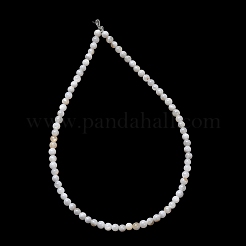 Natural Freshwater Shell Beads Strands&nbsp;SH-CBA2978-07D-02