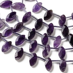 Natural Banded Amethyst Beads Strands&nbsp;G-P607-A09-01