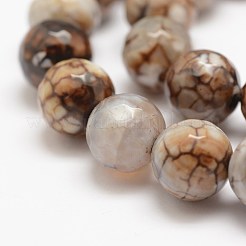 Faceted Natural Fire Crackle Agate Beads Strands&nbsp;X-G-F447-12mm-B14