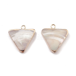 Natural Trochid Shell/Trochus Shell Pendants&nbsp;LS-BSHE-E028-12KCG