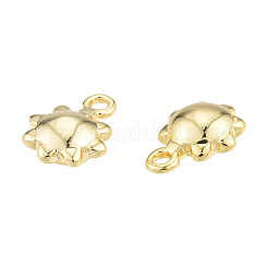 Brass Charms&nbsp;KK-N231-388