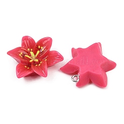 Opaque Resin Pendants&nbsp;CRES-D328-04F