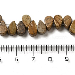 Natural Picture Jasper Beads Strands&nbsp;G-B064-B02