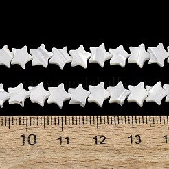 Natural Trochid Shell/Trochus Shell Beads Strands&nbsp;SH-CBA2978-17A