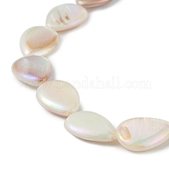 AB Color Plated Natural Freshwater Shell Beads Strands&nbsp;BSHE-G033-02