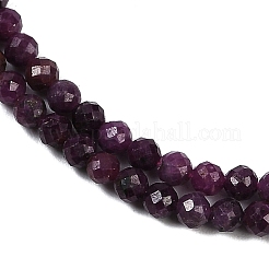 Natural Ruby Beads Strands&nbsp;G-P553-G01-02