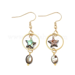 Natural Paua Shell & Stainless Steel Dangle Earrings for Women&nbsp;EJEW-JE07076-01