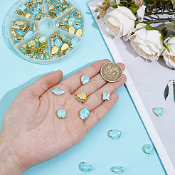 106pcs 6 Style Sew On Rhinestone&nbsp;FIND-OC0004-09F