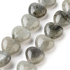 Natural Labradorite Beads Strands&nbsp;G-B022-32C