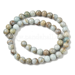 Natural Shoushan Stone Beads Strands&nbsp;G-B155-A01-8mm