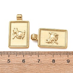 304 Stainless Steel Pendants&nbsp;STAS-C184-11G-08