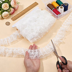 10M Organza Lace Ribbon&nbsp;OCOR-FG0003-43E