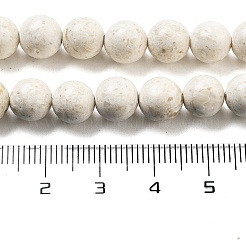 Natural Fossil Beads Strands&nbsp;G-H026-02A