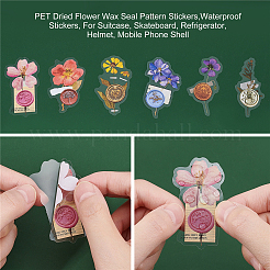 180Pcs 6 Styles Waterproof Self Adhesive PET Stickers&nbsp;DIY-CP0007-02