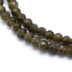 Natural Golden Sheen Obsidian Beads Strand&nbsp;X-G-E411-34-3mm